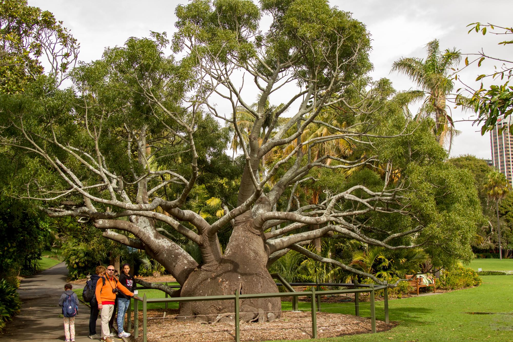 13_20150825   AUS 823   Sydney